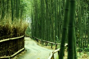 【評判/口コミ】京都でレーシック！眼科クリニック５選 | 京都市,京田辺,宇治【費用まとめ付】