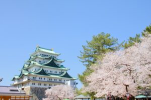 愛知(名古屋)でICL手術ができる眼科おすすめ6選(費用比較)【2026年最新版】